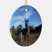 Melkchocolade bruinpaard in blauw keramisch ornament (Rechts)