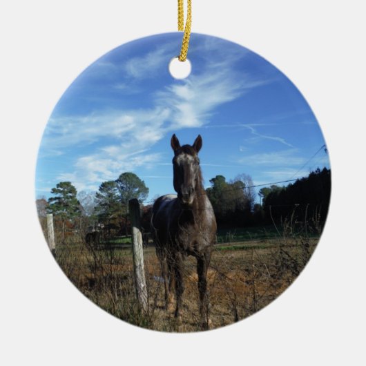 Melkchocolade bruinpaard in blauw keramisch ornament (Voorkant)