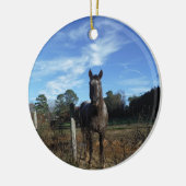 Melkchocolade bruinpaard in blauw keramisch ornament (Links)