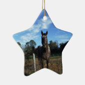 Melkchocolade bruinpaard in blauw keramisch ornament (Rechts)