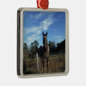 Melkchocolade bruinpaard in blauw metalen ornament (Rechts)