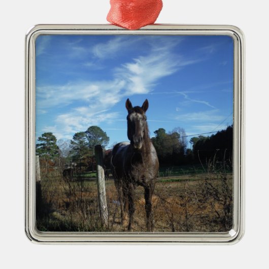 Melkchocolade bruinpaard in blauw metalen ornament (Voorkant)