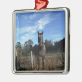 Melkchocolade bruinpaard in blauw metalen ornament (Links)