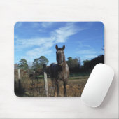 Melkchocolade bruinpaard in blauw muismat (Met muis)