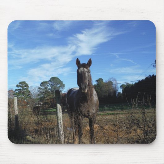 Melkchocolade bruinpaard in blauw muismat (Voorkant)