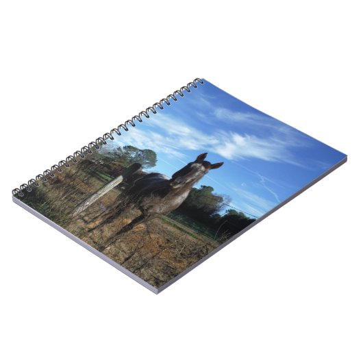 Melkchocolade bruinpaard in blauw notitieboek (Linkerzijde)