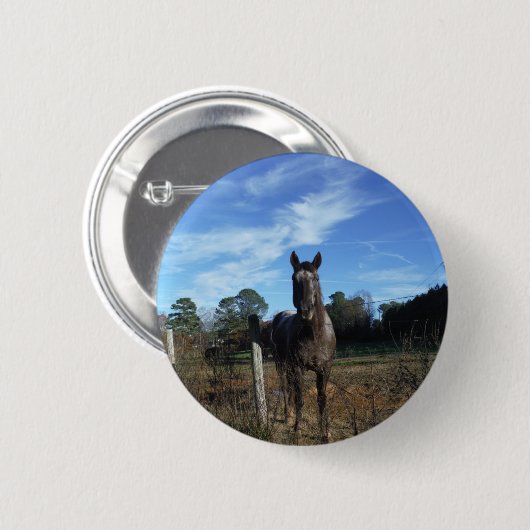 Melkchocolade bruinpaard in blauw ronde button 5,7 cm (Voorkant /achterkant)