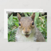 Melkeekhoorn Briefkaart (Voorkant / Achterkant)