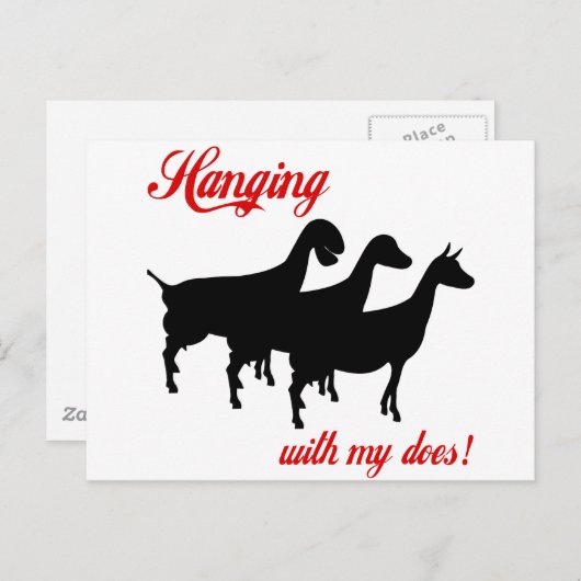 Melkgeiten Briefkaart (Voorkant / Achterkant)