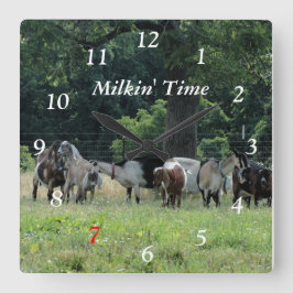 Melkgeiten — Klok aanpassen en kiezen