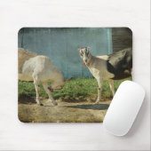 Melkgeiten Muismat (Met muis)