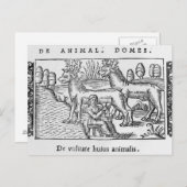 Melkherders Briefkaart (Voorkant / Achterkant)