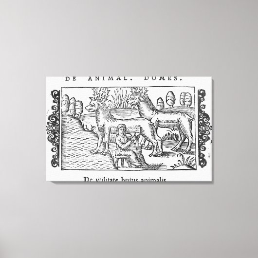 Melkherders Canvas Afdruk (Voorkant)