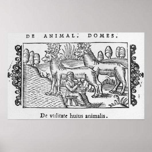 Melkherders Poster (Voorkant)