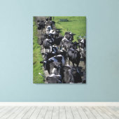 Melkhoudende koeien wachten op het melken canvas afdruk (Insitu (Houten vloer))