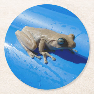 Melkkikker op een zwembad Float Pulp Board Onderze Ronde Kartonnen Onderzetter
