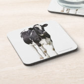 Melkkoe (Bos taurus) op witte achtergrond Drankjes Onderzetter (Linkerzijde)