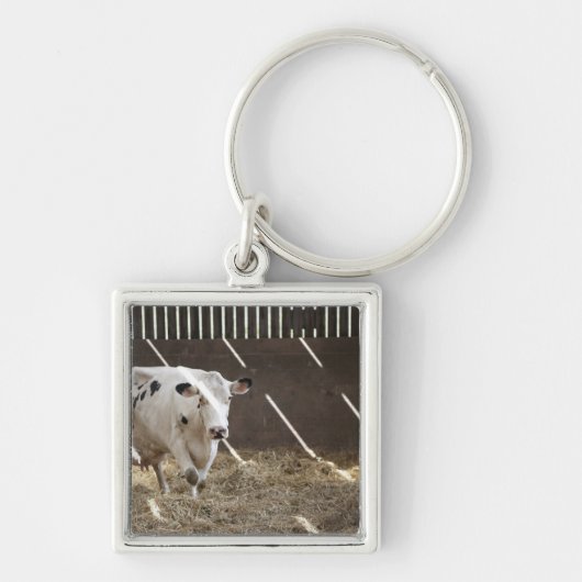 Melkkoe Sleutelhanger (Voorkant)