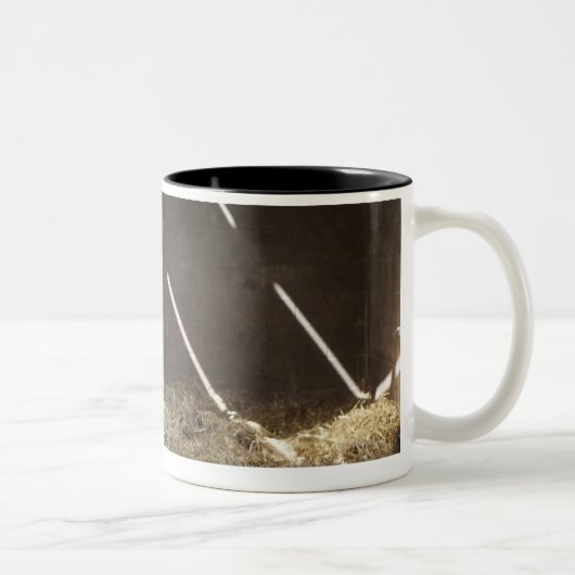 Melkkoe Tweekleurige Koffiemok (Rechts)