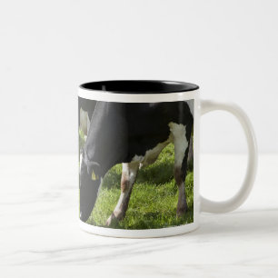 Melkkoeien die grazen in grasland tweekleurige koffiemok