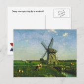 Melkkoeien grazen door een windmolen briefkaart (Voorkant / Achterkant)