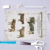 Melkkoeien stijl oude roestkoeien tissuepapier (Craft)