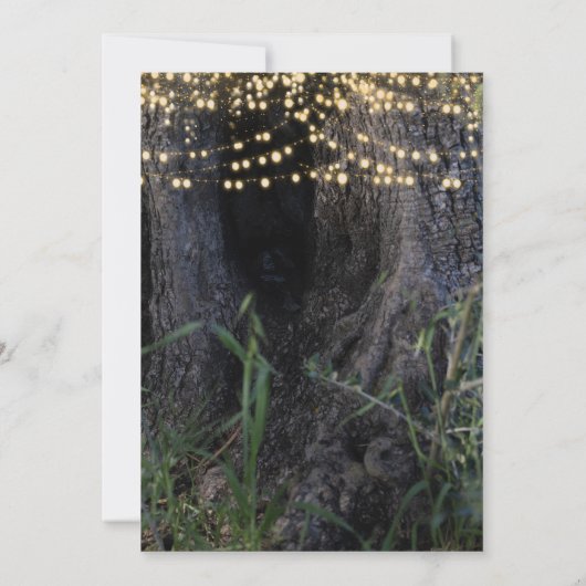 Melklichten in het Verloving van het bos Kaart (Achterkant)