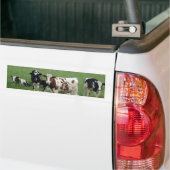 Melkmelk Koe op het Boerderij Bumpersticker (Op Truck)
