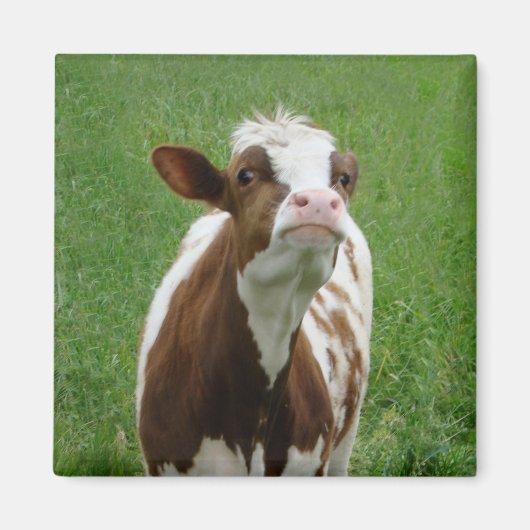 Melkmelk Koe op het Boerderij Magneet (Voorkant)