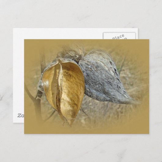 Melkroestpotigen Briefkaart (Voorkant / Achterkant)