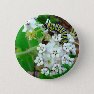 Melkroos en monarch ronde button 5,7 cm