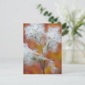 Melkrooszaad in het najaar, Canada Briefkaart (Staand voorkant)