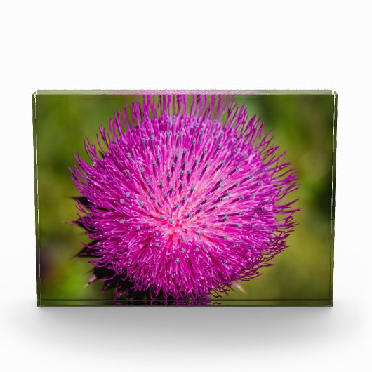 Melkschroefdop Fotoblokken (Voorkant)