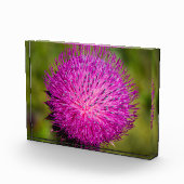 Melkschroefdop Fotoblokken (Rechts)