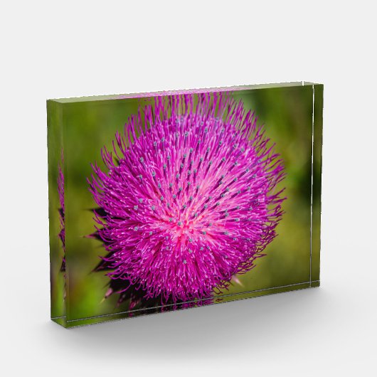 Melkschroefdop Fotoblokken (Links)