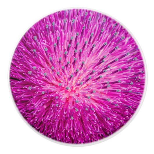 Melkschroefdop Keramische Knop (Voorkant)