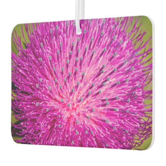 Melkschroefdop Luchtverfrisser (Links)