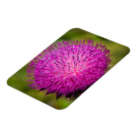 Melkschroefdop Magneet