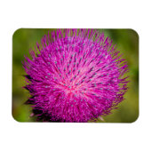 Melkschroefdop Magneet (Horizontaal)