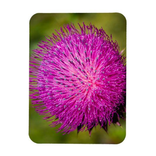 Melkschroefdop Magneet (Verticaal)