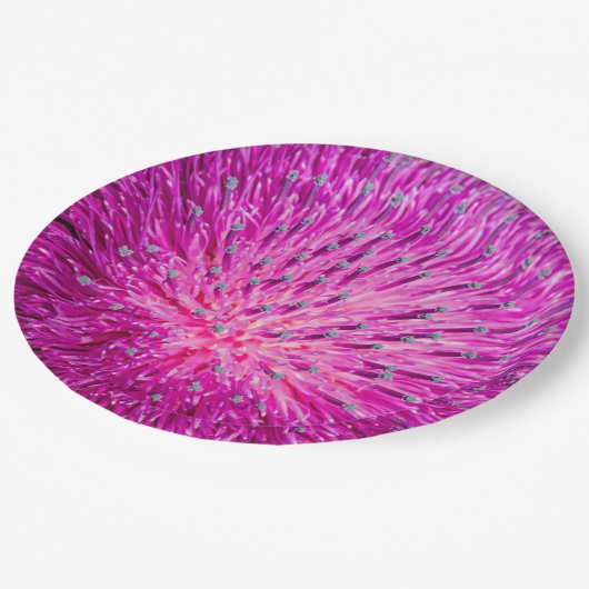 Melkschroefdop Papieren Bordje (Gekanteld)