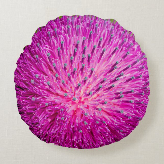 Melkschroefdop Rond Kussen (Voorkant)