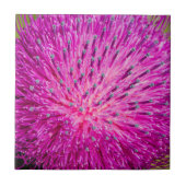 Melkschroefdop Tegeltje (Voorkant)