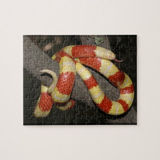 Melkslang Legpuzzel (Horizontaal)