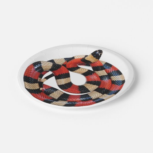 Melkslang Papieren Bordje (Gekanteld)