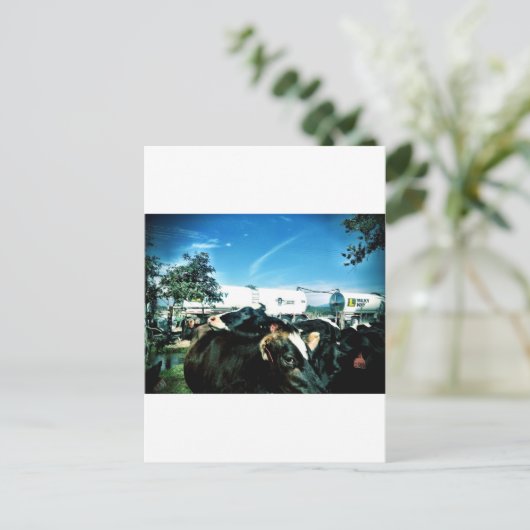 melkvrachtwagen briefkaart (Staand voorkant)