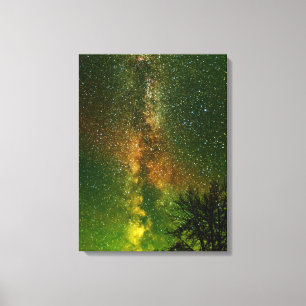 Melkweg & Aurora Borealis Ontario Canada Canvas Afdruk