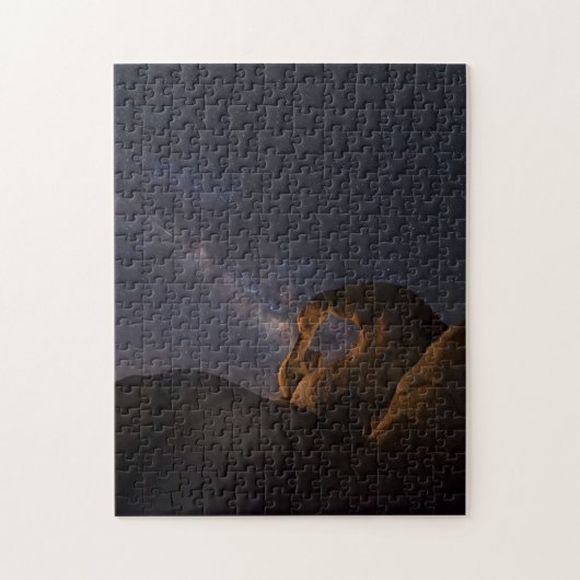 Melkweg en wiellopers | Alabama Hills Legpuzzel (Verticaal)