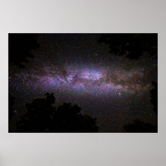 Melkweg met bomen silhouette poster (Voorkant)