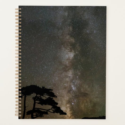 Melkweg met boom | Ouray Colorado Planner (Voorkant)